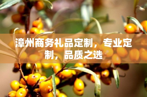 漳州商务礼品定制，专业定制，品质之选