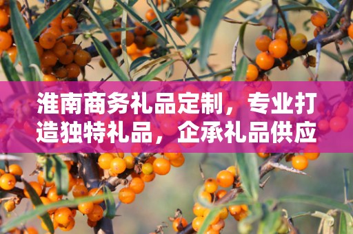 淮南商务礼品定制，专业打造独特礼品，企承礼品供应链助力商务往来