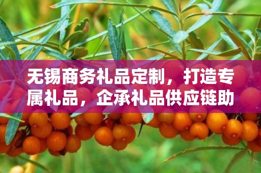 无锡商务礼品定制，打造专属礼品，企承礼品供应链助力商务往来