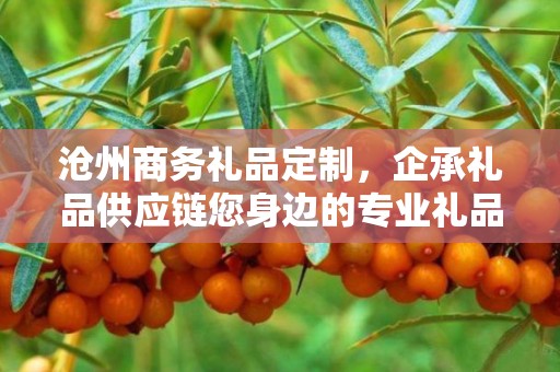 沧州商务礼品定制，企承礼品供应链您身边的专业礼品定制公司