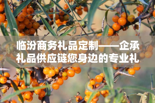 临汾商务礼品定制——企承礼品供应链您身边的专业礼品定制公司