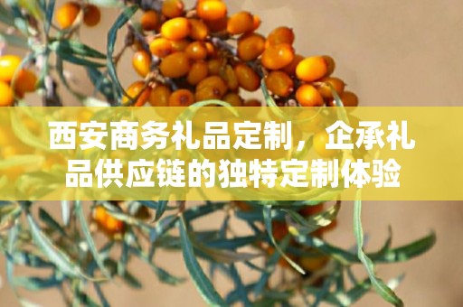 西安商务礼品定制，企承礼品供应链的独特定制体验