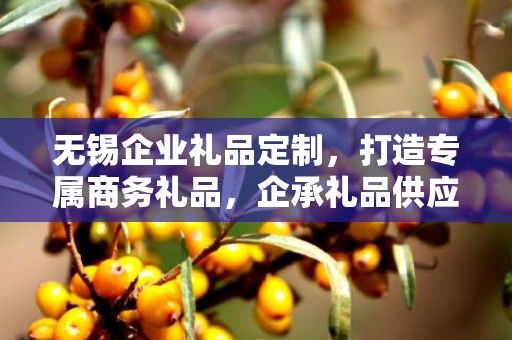 无锡企业礼品定制，打造专属商务礼品，企承礼品供应链助力企业发展