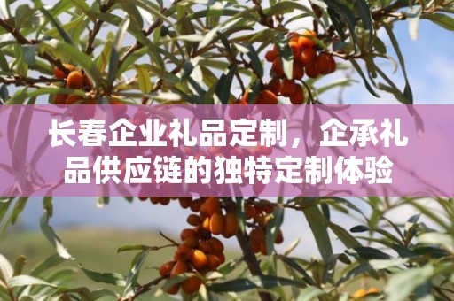 长春企业礼品定制，企承礼品供应链的独特定制体验