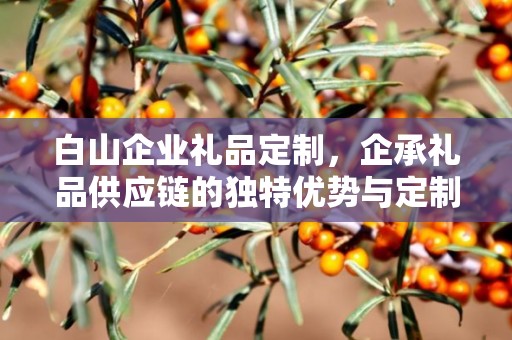白山企业礼品定制，企承礼品供应链的独特优势与定制之旅