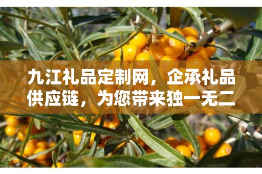 九江礼品定制网，企承礼品供应链，为您带来独一无二的定制体验
