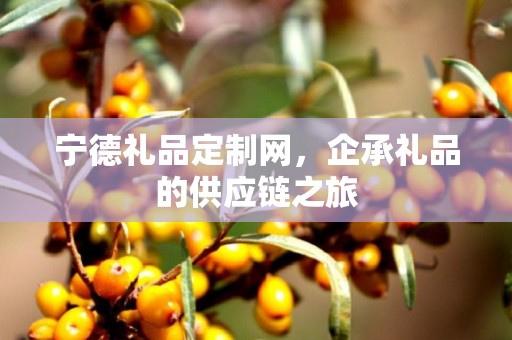 宁德礼品定制网，企承礼品的供应链之旅