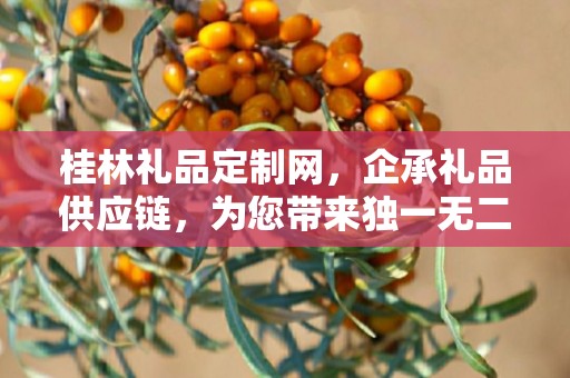 桂林礼品定制网，企承礼品供应链，为您带来独一无二的定制体验