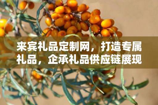 来宾礼品定制网，打造专属礼品，企承礼品供应链展现卓越服务