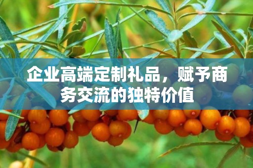 企业高端定制礼品，赋予商务交流的独特价值