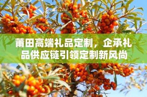 莆田高端礼品定制，企承礼品供应链引领定制新风尚