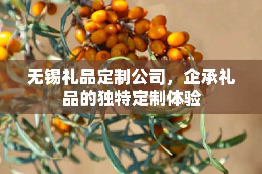 无锡礼品定制公司，企承礼品的独特定制体验