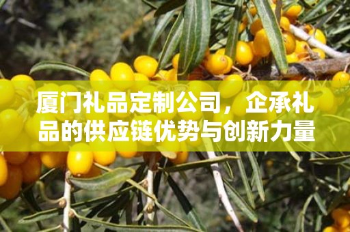 厦门礼品定制公司，企承礼品的供应链优势与创新力量