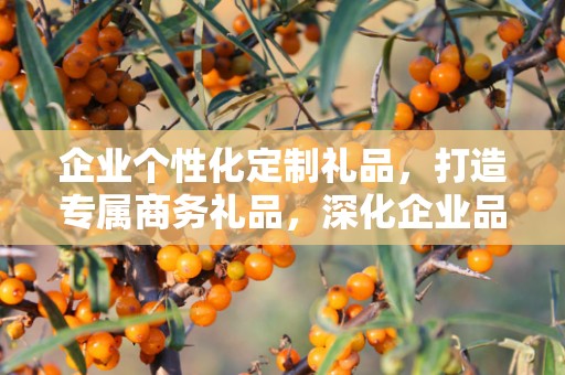 企业个性化定制礼品，打造专属商务礼品，深化企业品牌印象