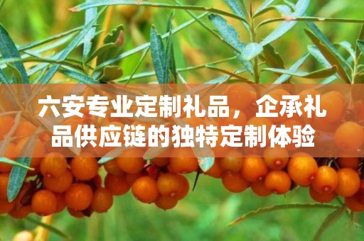 六安专业定制礼品，企承礼品供应链的独特定制体验