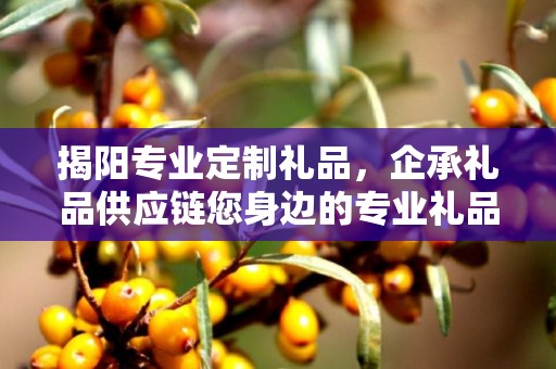 揭阳专业定制礼品，企承礼品供应链您身边的专业礼品定制公司
