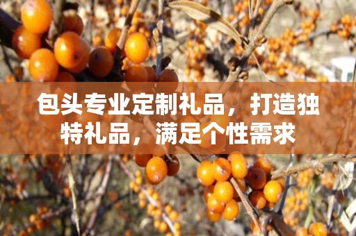 包头专业定制礼品，打造独特礼品，满足个性需求