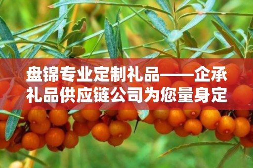 盘锦专业定制礼品——企承礼品供应链公司为您量身定制的独特礼品