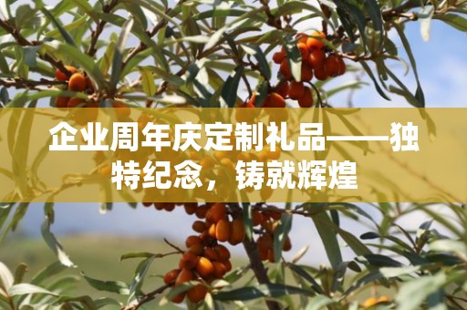 企业周年庆定制礼品——独特纪念，铸就辉煌