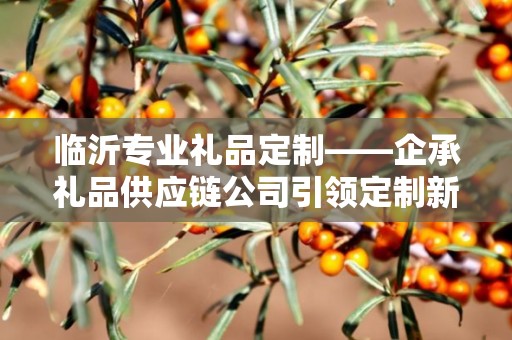 临沂专业礼品定制——企承礼品供应链公司引领定制新风尚