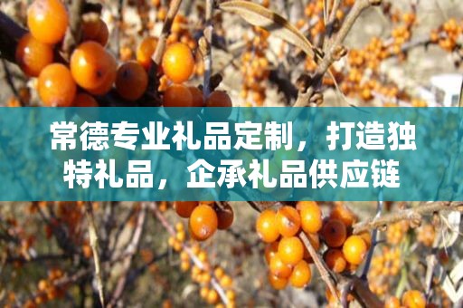常德专业礼品定制，打造独特礼品，企承礼品供应链