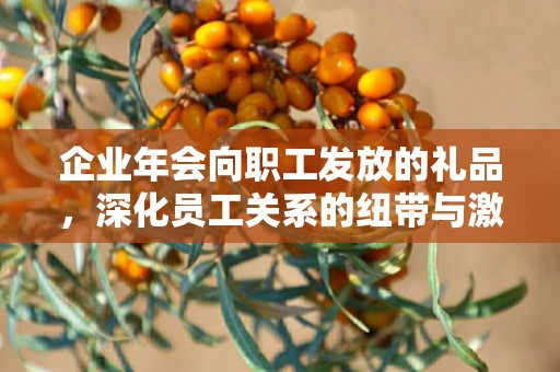 企业年会向职工发放的礼品，深化员工关系的纽带与激励前行的动力