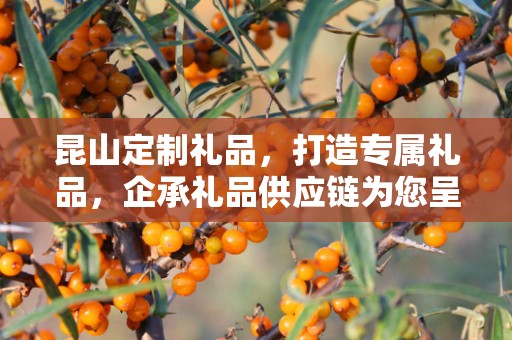 昆山定制礼品，打造专属礼品，企承礼品供应链为您呈现独特之选