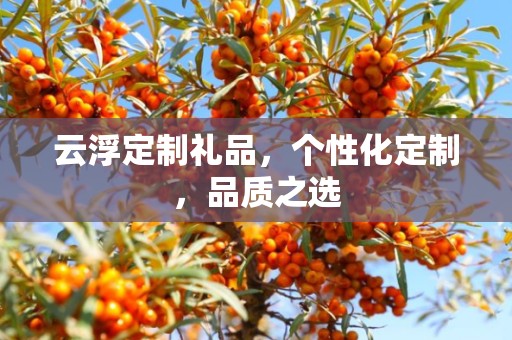 云浮定制礼品，个性化定制，品质之选