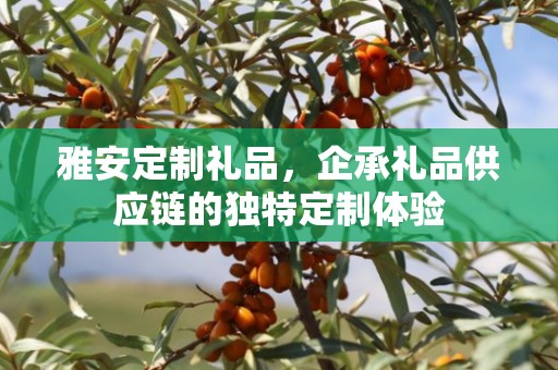 雅安定制礼品，企承礼品供应链的独特定制体验