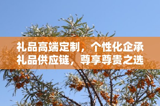 礼品高端定制，个性化企承礼品供应链，尊享尊贵之选