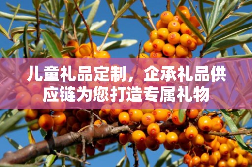 儿童礼品定制，企承礼品供应链为您打造专属礼物