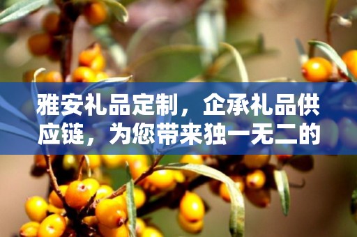 雅安礼品定制，企承礼品供应链，为您带来独一无二的定制体验