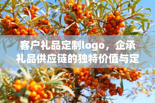 客户礼品定制logo，企承礼品供应链的独特价值与定制化体验