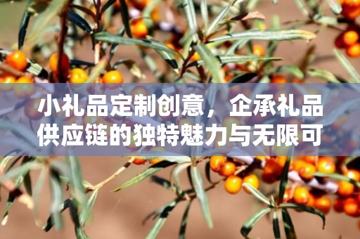 小礼品定制创意，企承礼品供应链的独特魅力与无限可能