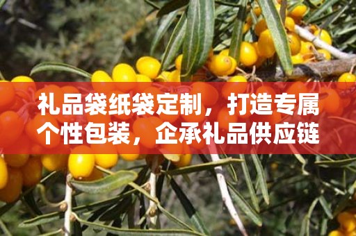 礼品袋纸袋定制，打造专属个性包装，企承礼品供应链为您助力