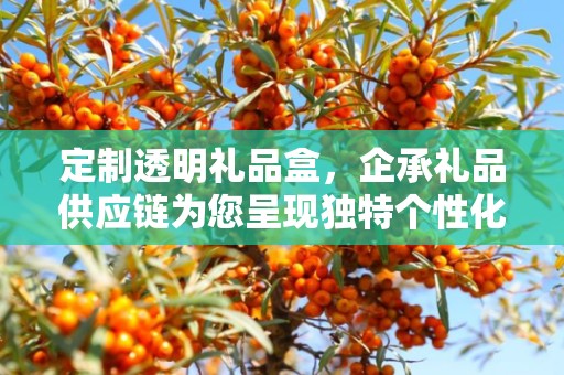 定制透明礼品盒，企承礼品供应链为您呈现独特个性化选择