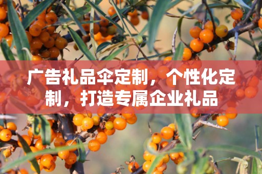 广告礼品伞定制，个性化定制，打造专属企业礼品