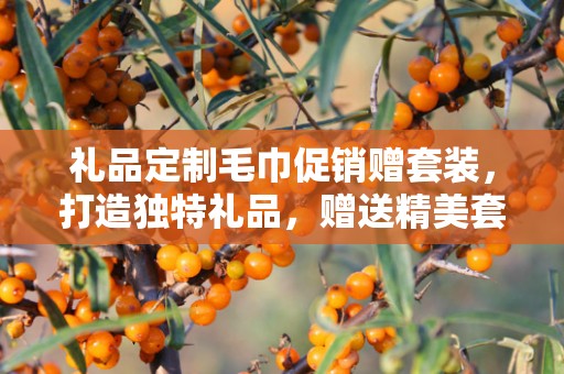 礼品定制毛巾促销赠套装，打造独特礼品，赠送精美套装，企承礼品供应链助力您的商务活动