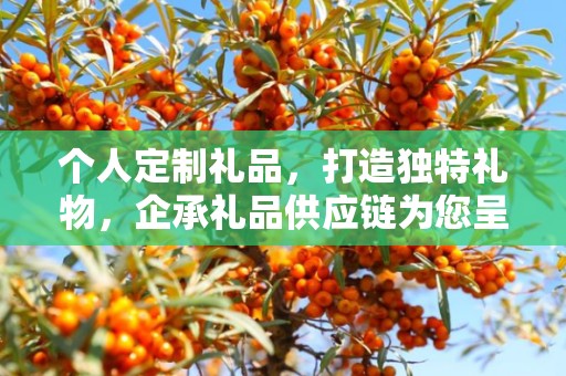 个人定制礼品，打造独特礼物，企承礼品供应链为您呈现专属之选