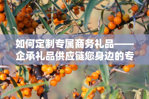 如何定制专属商务礼品——企承礼品供应链您身边的专业礼品定制公司
