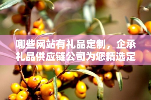 哪些网站有礼品定制，企承礼品供应链公司为您精选定制平台