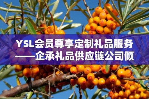YSL会员尊享定制礼品服务——企承礼品供应链公司倾力呈现