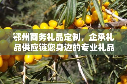 鄂州商务礼品定制，企承礼品供应链您身边的专业礼品定制公司