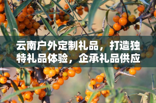 云南户外定制礼品，打造独特礼品体验，企承礼品供应链助力商务推广