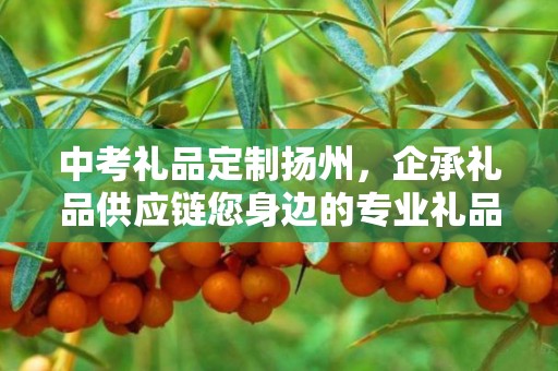 中考礼品定制扬州，企承礼品供应链您身边的专业礼品定制公司