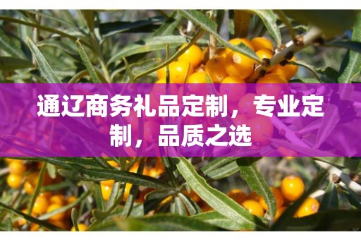 通辽商务礼品定制，专业定制，品质之选