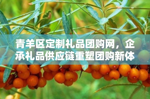 青羊区定制礼品团购网，企承礼品供应链重塑团购新体验
